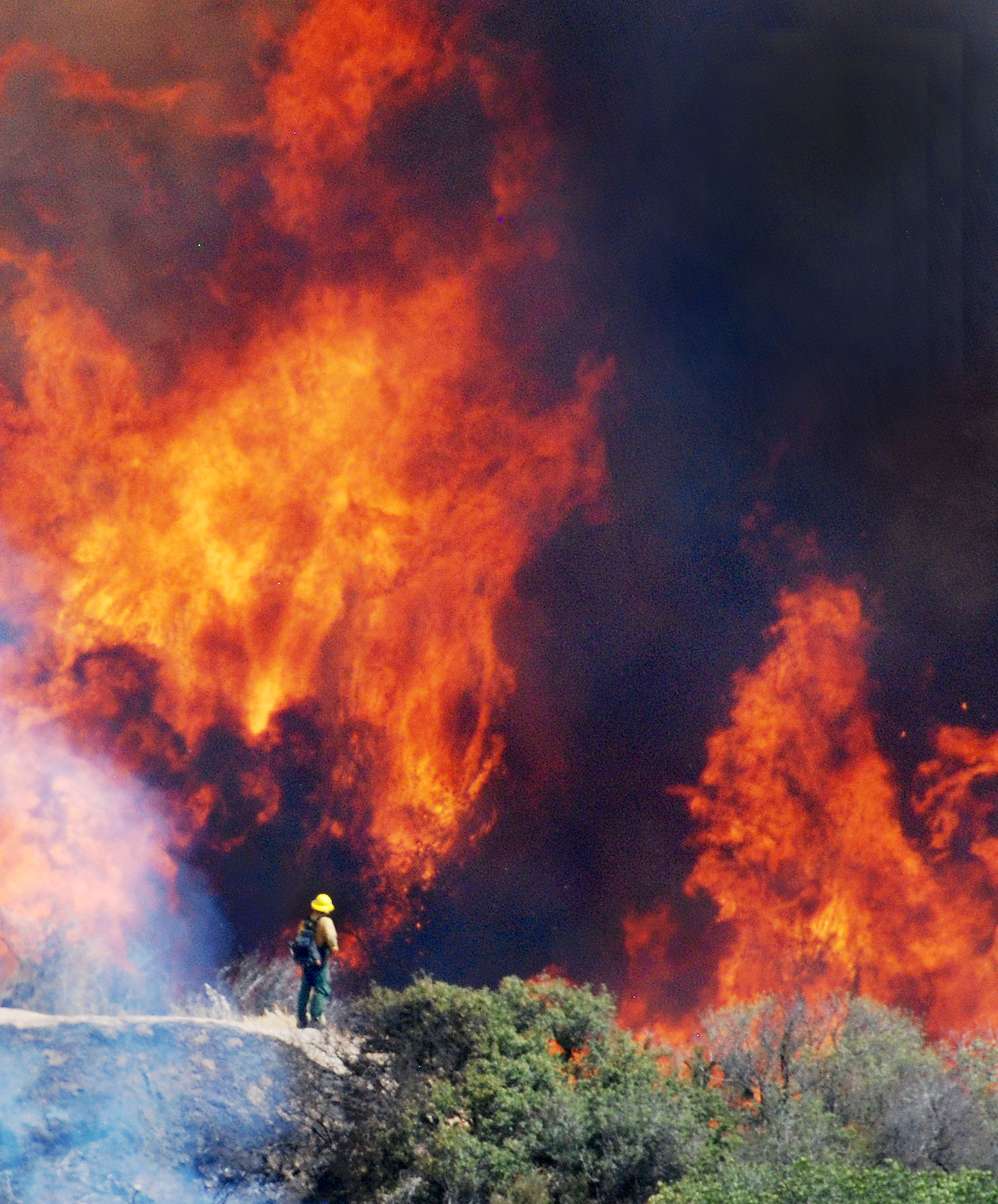 US FOREST FIREFIGHTER HOT SHOT COLLECTIONS Certified Wildland Firefighter I